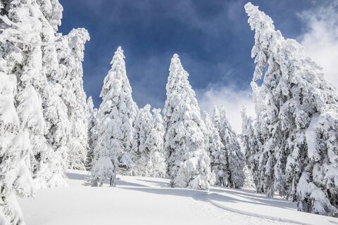 Winterlandschaft