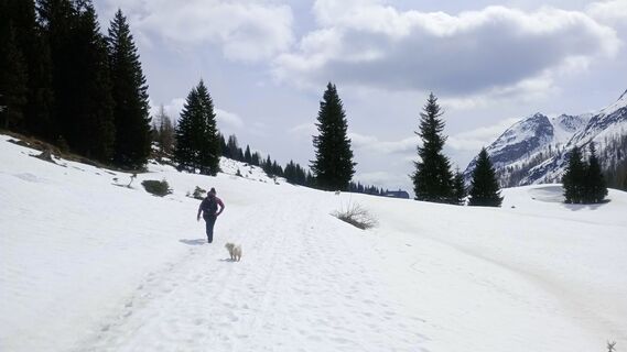 Zdjęcie z Michele Zollia wzdłuż trasy