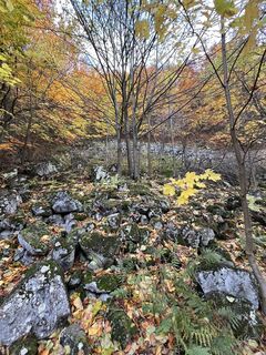 Foto von Nóra Adamkovich entlang der Tour