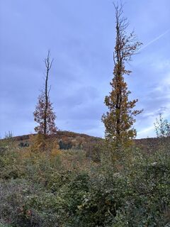 Foto von MartinZ entlang der Tour