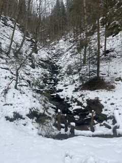 Photo from Karl Graupp along the tour