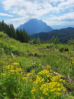 Fotografija s spletne strani Dagmar Hofer na poti