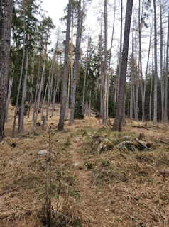 Fotografia z Juliane Jarke na trase