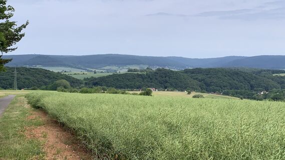 Foto von outdoor_rue entlang der Tour
