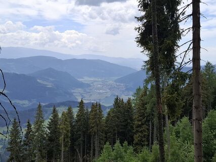 Foto von Gertraud entlang der Tour
