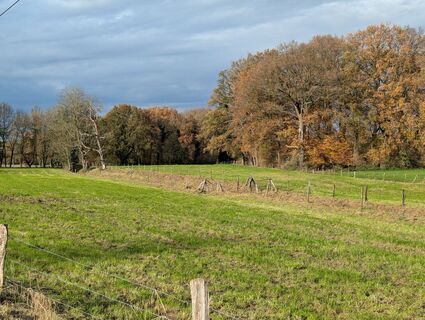 Fotografia z Matje Derks na trase