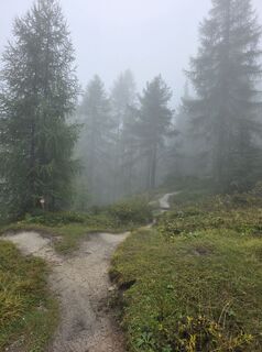 Foto von Anita Schäfer entlang der Tour