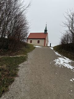 Foto von Wanderelch entlang der Tour