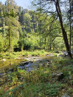 Foto da ReginaSt lungo il tour