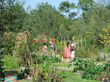 Pessac-Le-Bourgailh-3