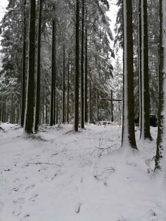 Das Gipfelkreuz auf dem Bastenberg im Winter