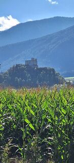 Foto von Alois Hörbinger entlang der Tour