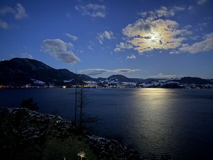 Foto von Natur_erleben_dg entlang der Tour