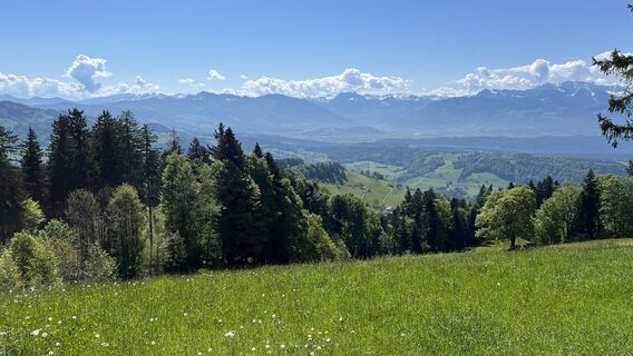 Fotografie z Pezzotta na trase