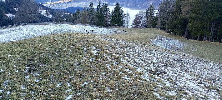 Foto von Peter Olgiati entlang der Tour