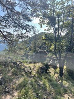 Fotografia z Maximilian Zechner na trase