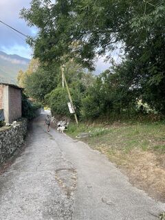 Foto de Döbröczöni Csaba a lo largo del recorrido