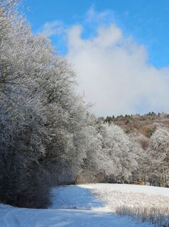 Photo de Heide Schoegler le long du parcours