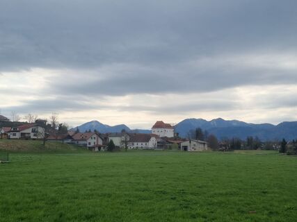 Foto von Grizli entlang der Tour