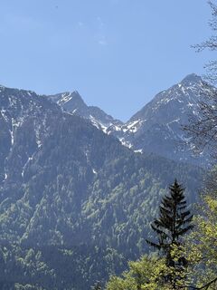 Fotografija s spletne strani Bert Wijshoff na poti