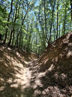 Fotografia z András Holló na trase