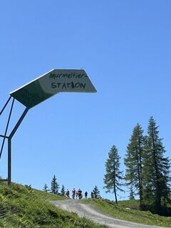 Fotografija s spletne strani Mieke Seys na poti