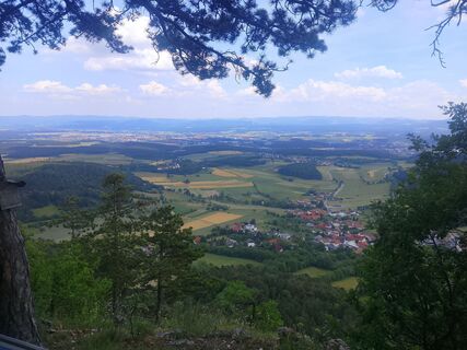 Photo de Wilhelm Dollmann le long du parcours