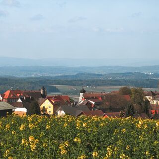 Blick von der Amalienhöhe auf Heiligenberg und in Richtung Hegau