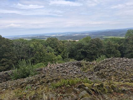 Foto von Wollomator entlang der Tour