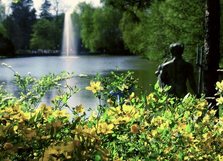 Seekurpark