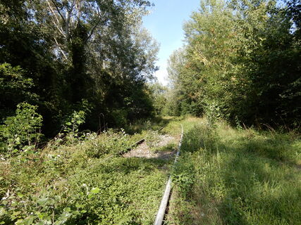 Lobau/Lobgrund - Groß Enzersdorf