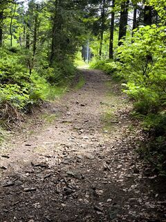 Foto von Dietmar Lüdenscheid ? entlang der Tour