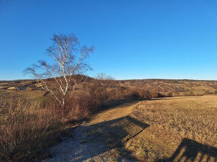 Fotografija s spletne strani Andrea Roschek na poti