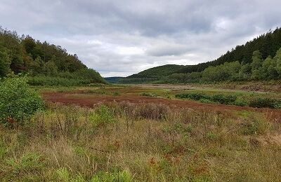 Panoramablick unterwegs