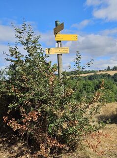 Fotografija s spletne strani Almdirndl na poti