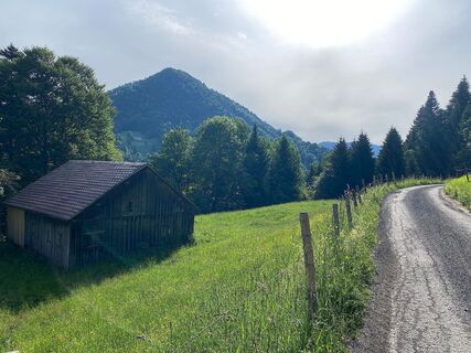Von Lingenau nach Schetteregg
