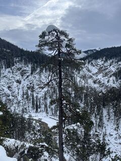 Fotografie z Manuel Härtenberger na trase