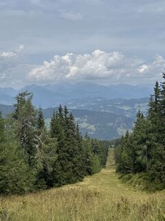 Foto von Roland Schotten entlang der Tour