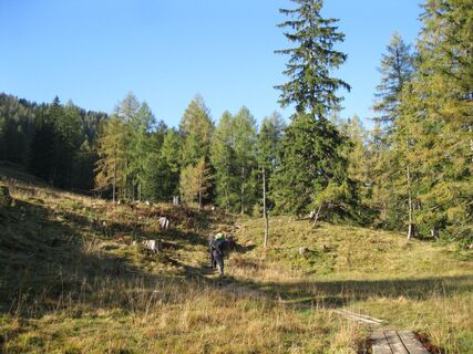 Linzer Haus - Zellerhütte