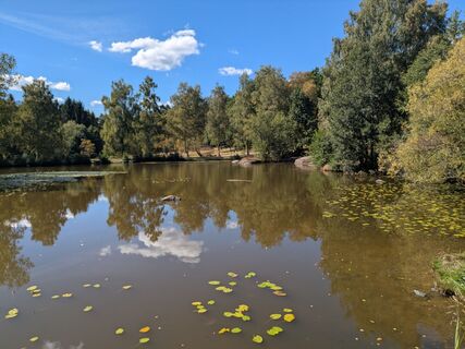 Foto de Edero a lo largo del recorrido