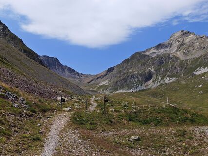 Photo de Lodovica Vecchi le long du parcours