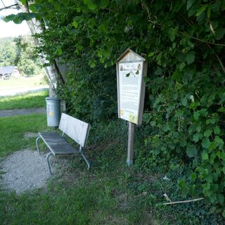Start - Bienenlehrpfad Mühledorf