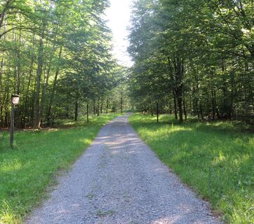 Allee der Bäume des Jahres 3(C)Gemeinde Reichartshausen