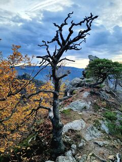 Fotó a tigerclawone honlapról a túra során