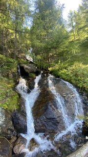 Zemljevid