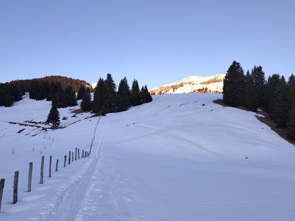 Foto von Peter Seliner entlang der Tour