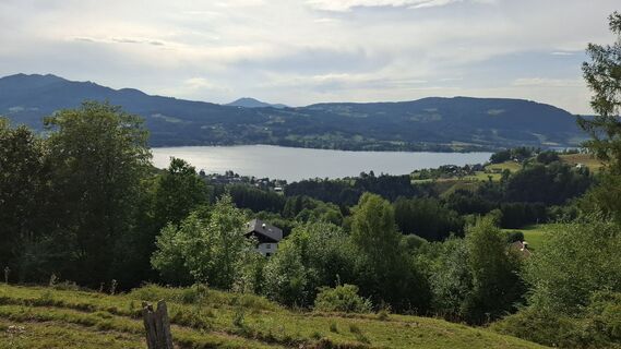 Foto von Sonja entlang der Tour