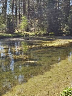 Photo de Michaela Kuntner le long du parcours