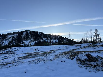 Fotografia z Theresa Marte na trase