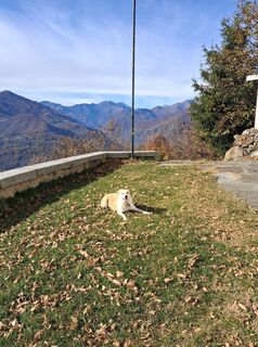 Foto från Claudio Dainese under resans gång